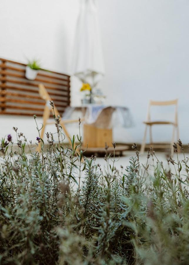 Major11 Apartman - Zsolnay Negyed Pécs Exteriör bild